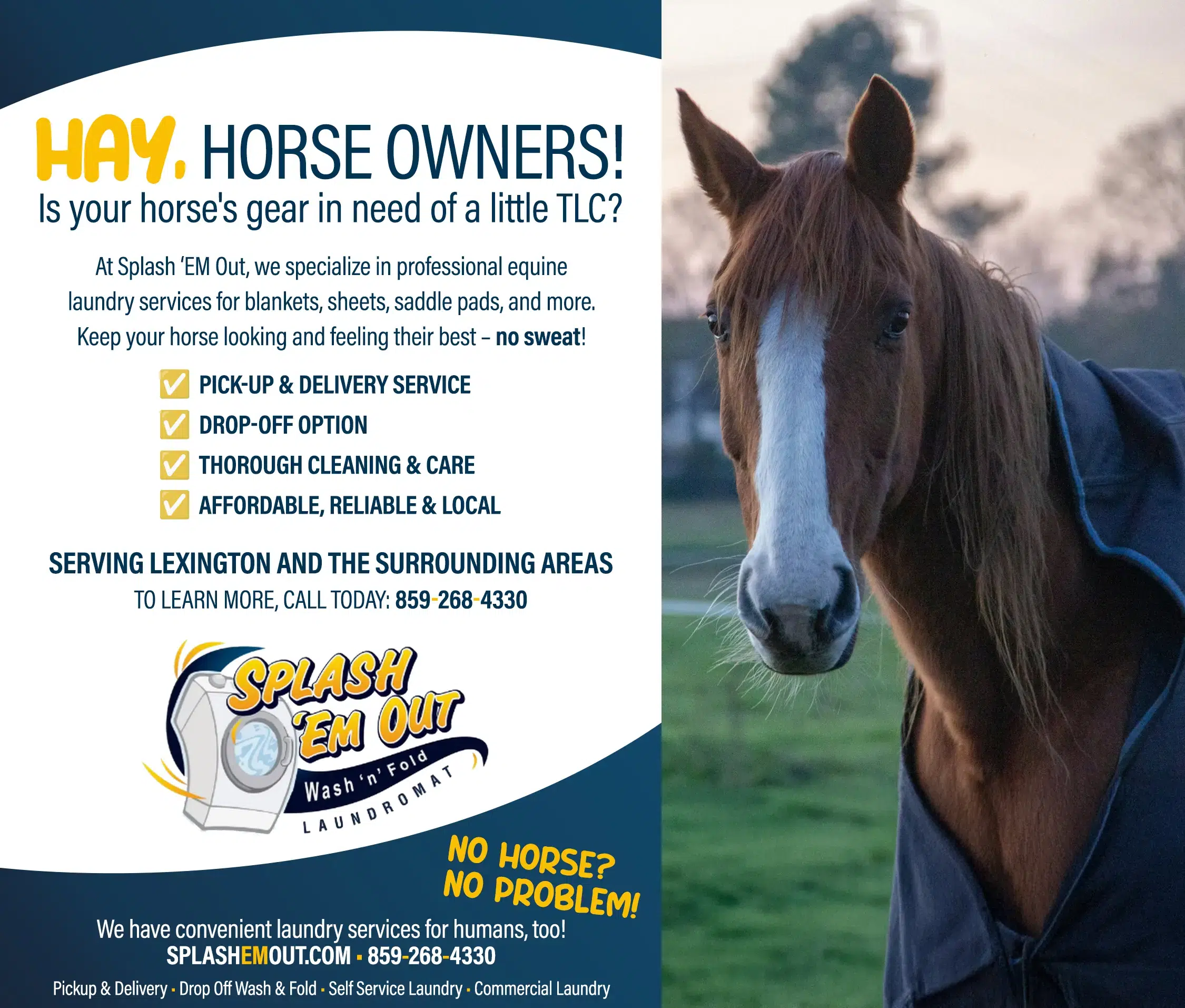 Equine Horse Blanket Service in Lexington KY