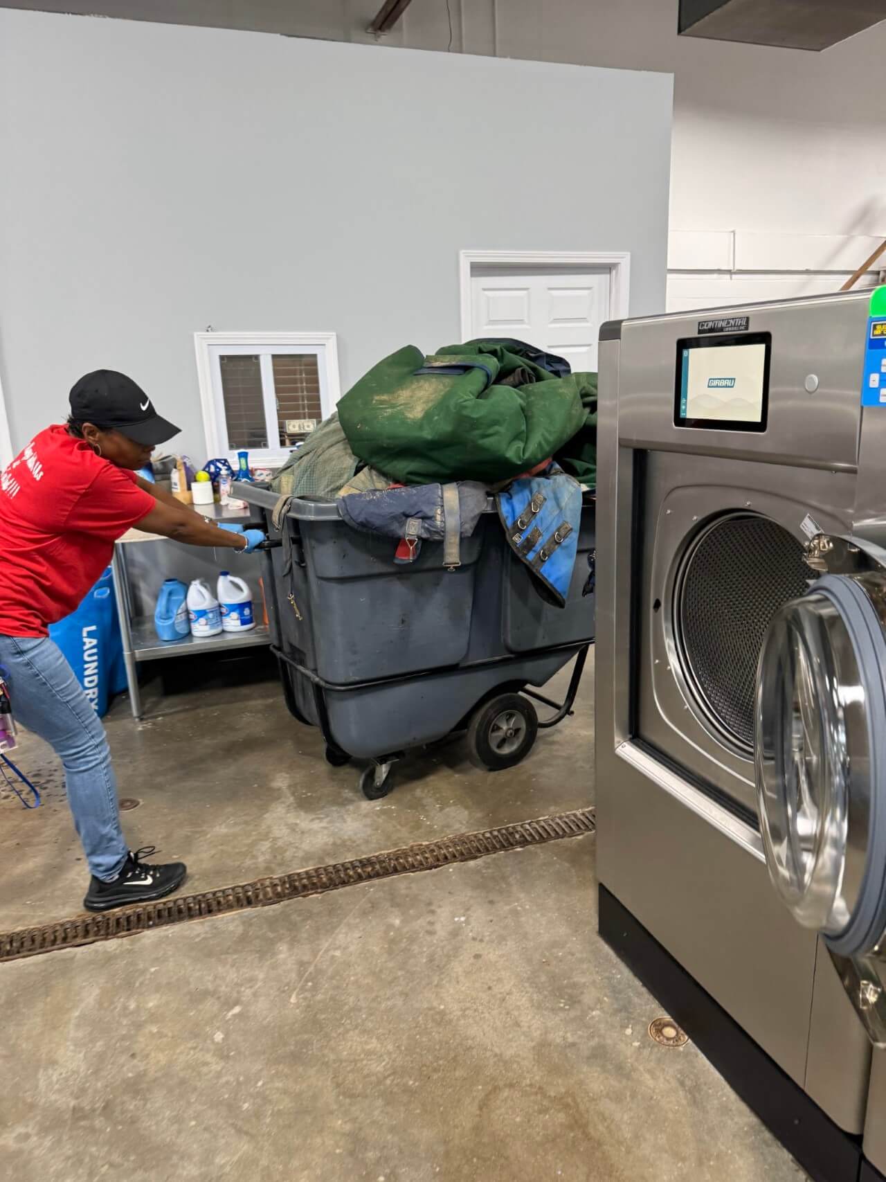Clean Horse Blanket After Wash