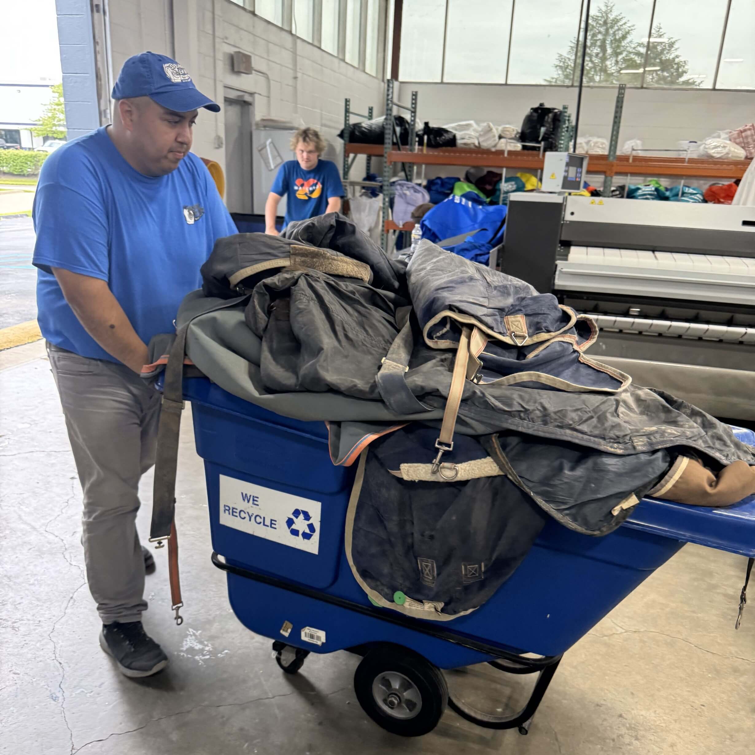 equine laundry service banner