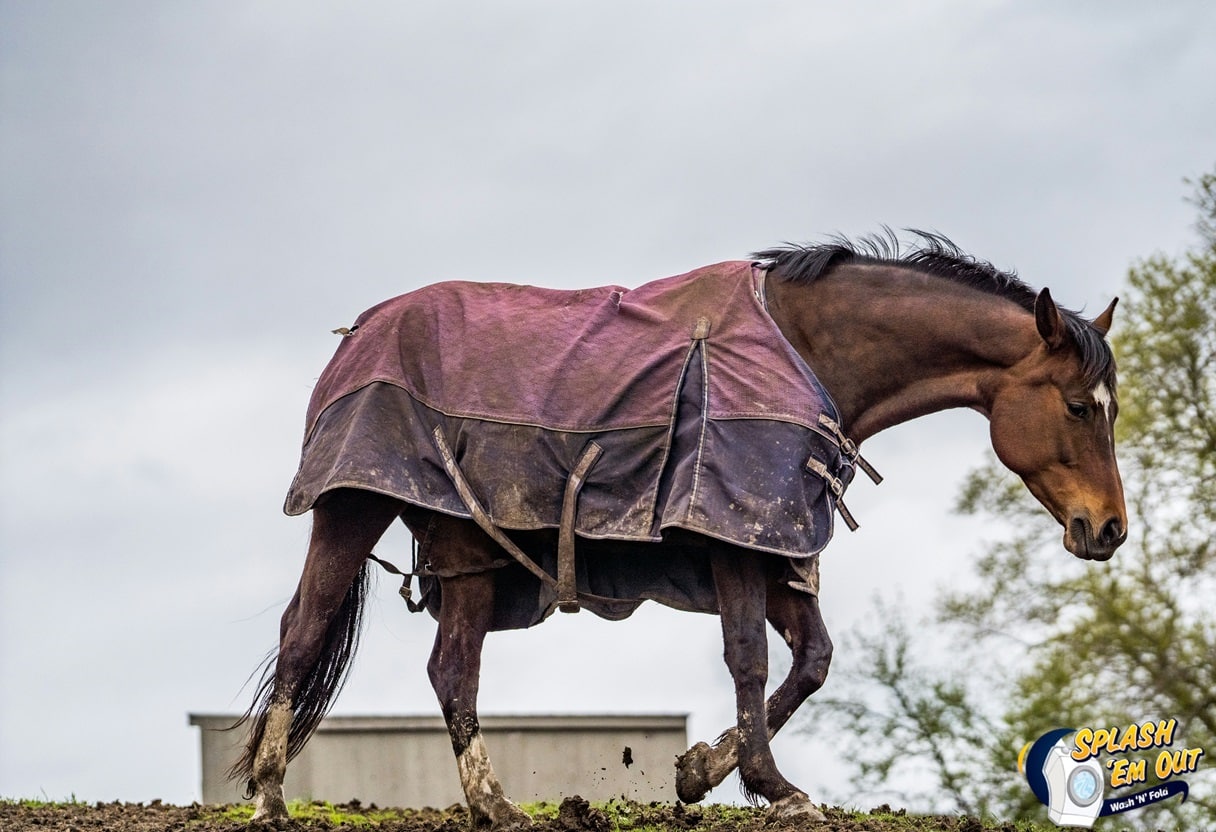 Equine Laundry Service 40356, KY