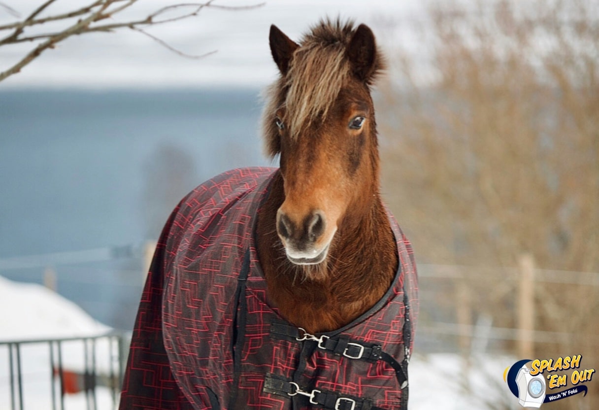 Equine Laundry Service 40475, KY