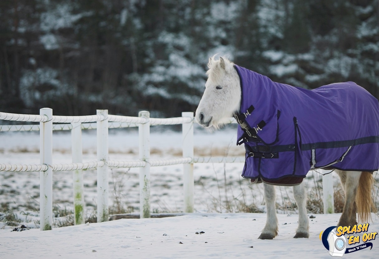 Equine Laundry Service 40546, KY