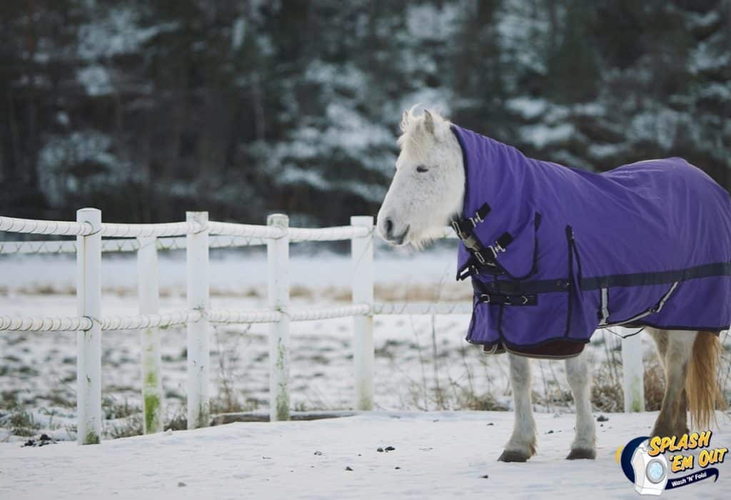 Equine Laundry Service Berea, KY