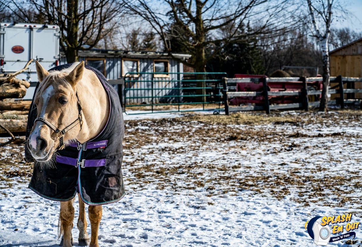 Equine Laundry Service Bon Haven , KY