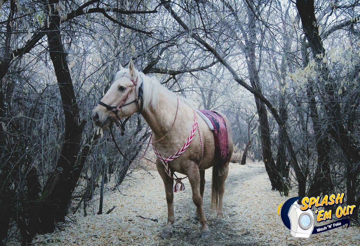 Equine Laundry Service Danville, KY
