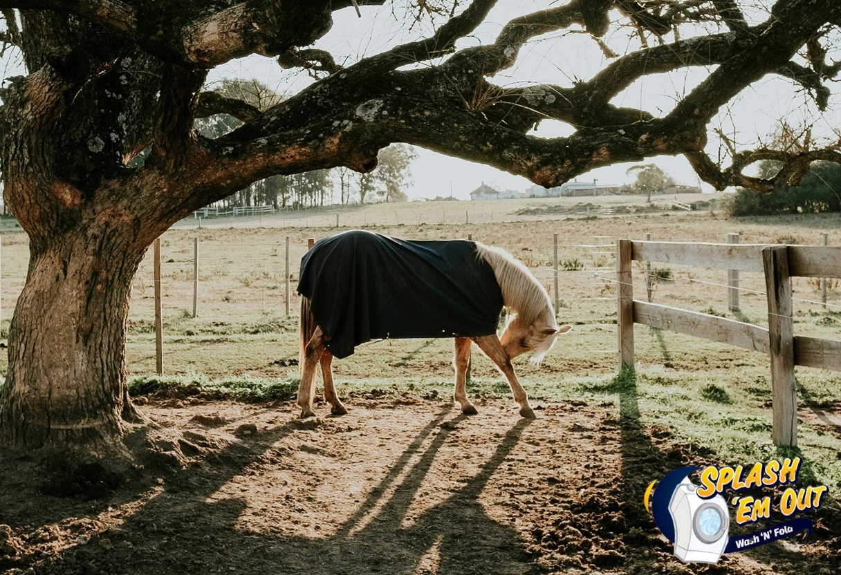 Equine Laundry Service Dreyfus, KY