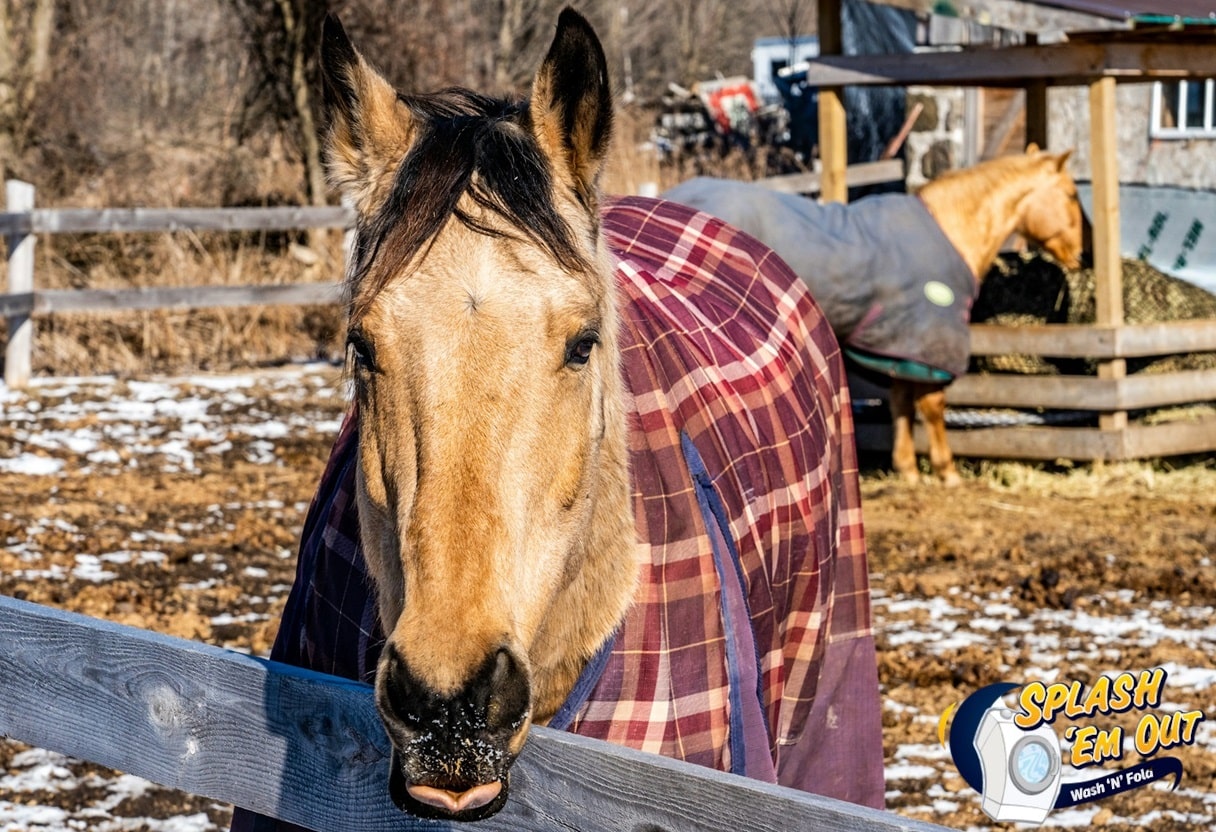 Equine Laundry Service Happy Landing, KY