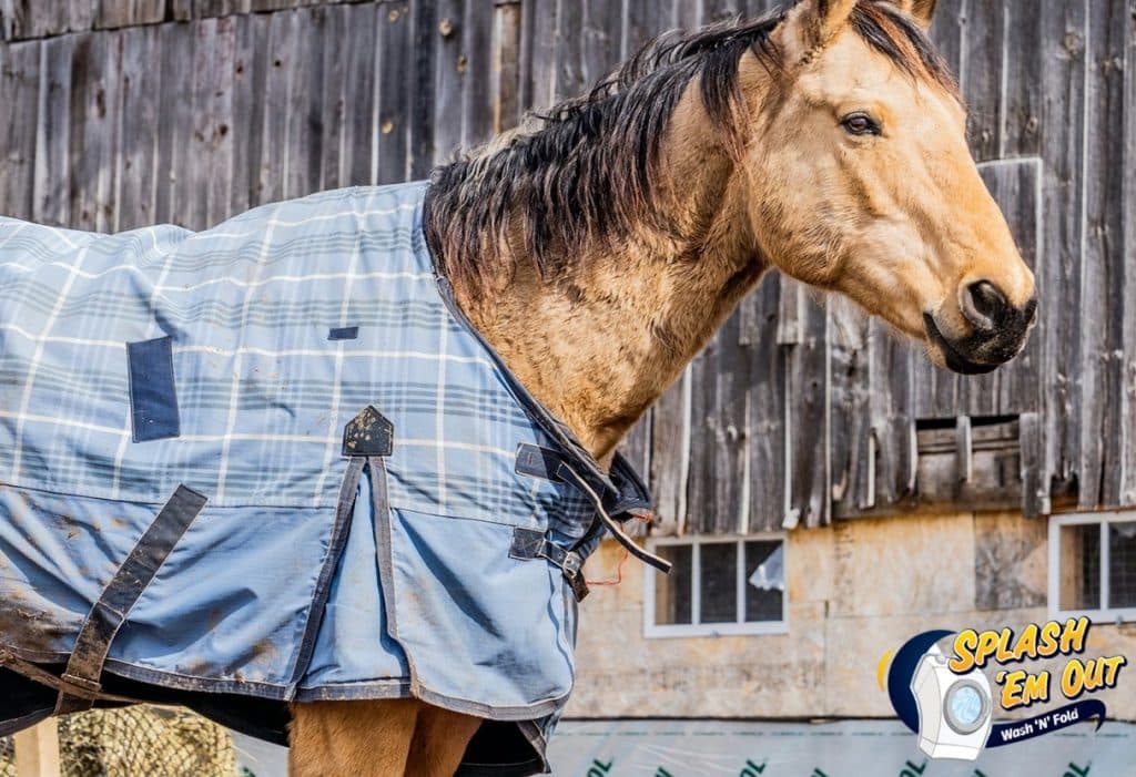 Equine Laundry Service Kingston, KY