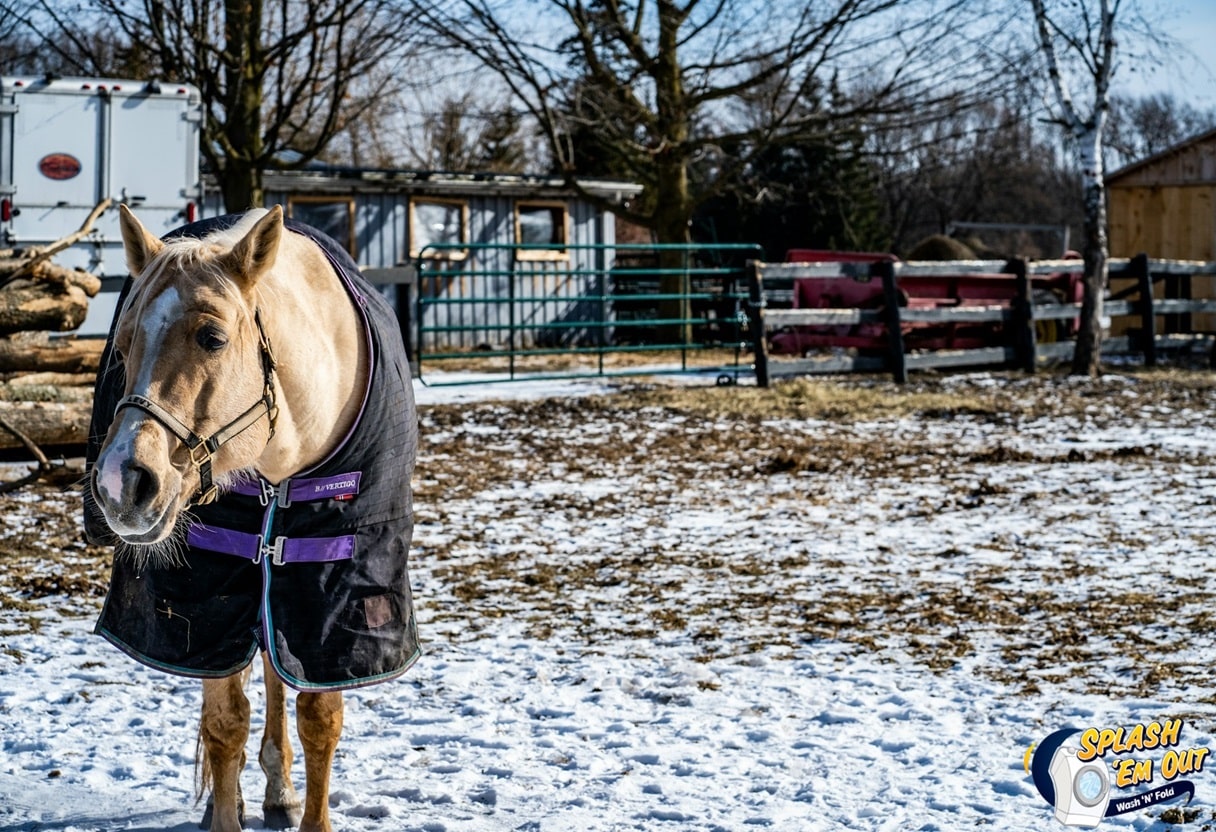Equine Laundry Service Kirksville, KY