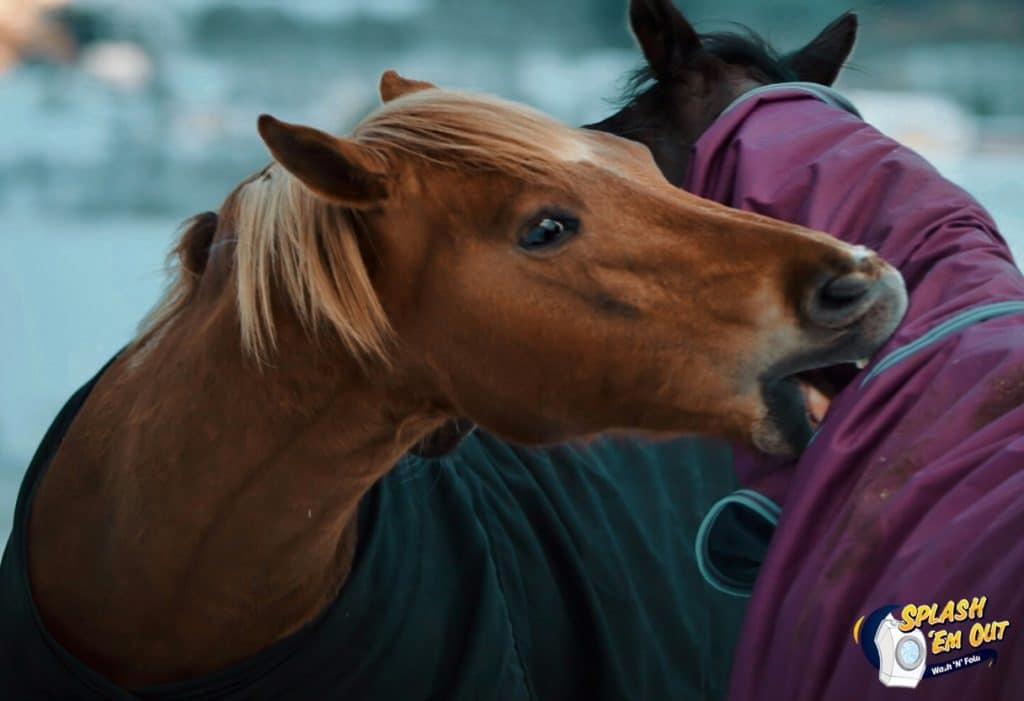 Equine Laundry Service Millville, KY