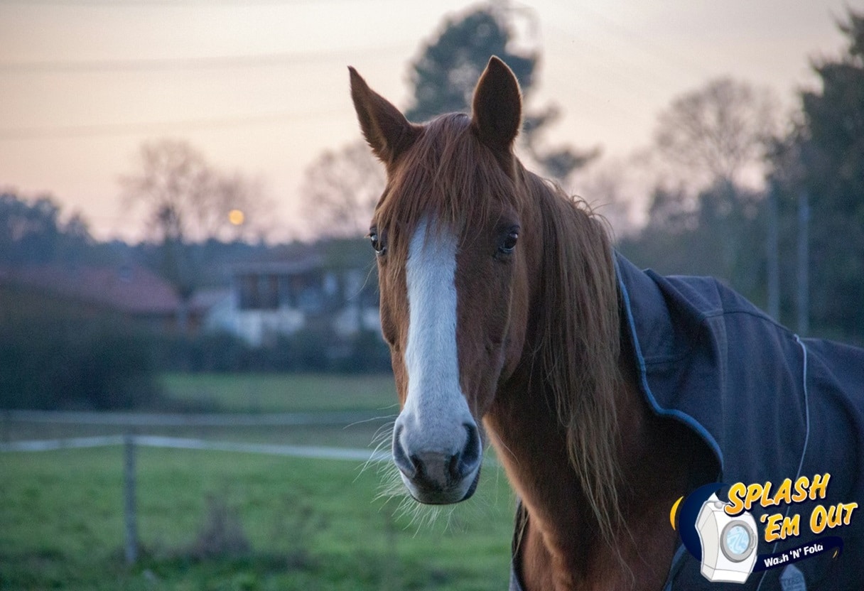 Equine Laundry Service Moberly, KY