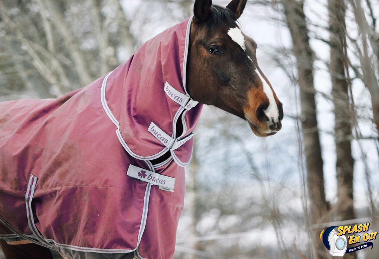 Equine Laundry Service Ruthton, KY
