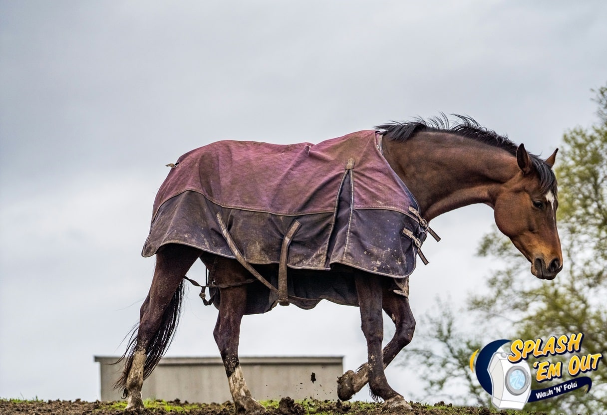 Equine Laundry Service Somerset, KY