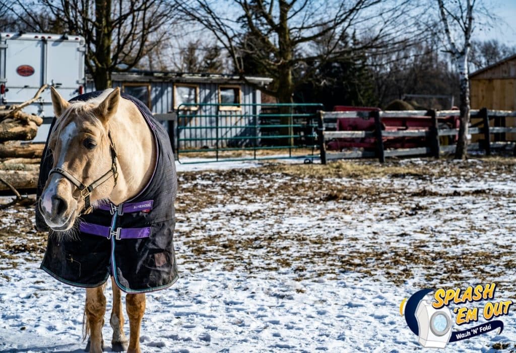 Equine Laundry Service Versailles, KY