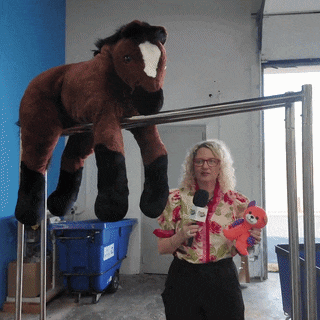 Equine Laundry Of Lexington Service